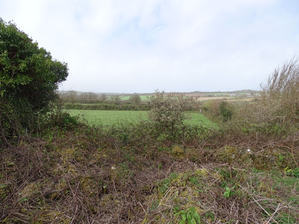 Lot: 34 - PARCEL OF LAND WITH DERELICT BARN - Land and ruins with countryside view in background